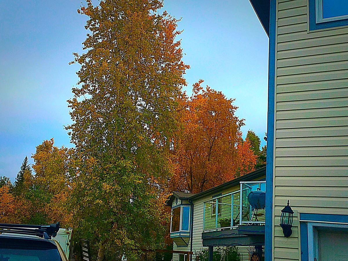 Bed and Breakfast Mabuhay Lakeside Manor Yellowknife Zewnętrze zdjęcie